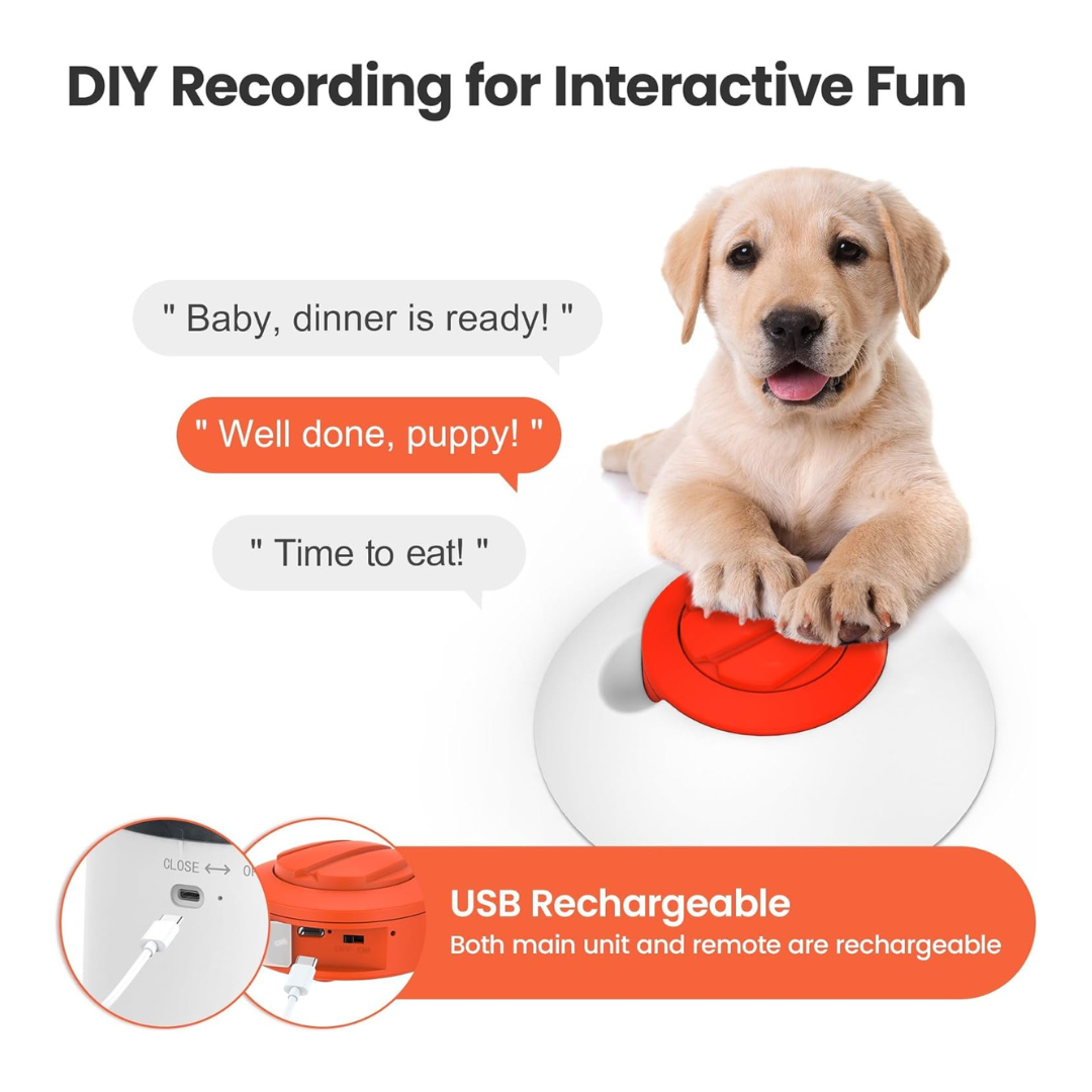 Dog Puzzle Feeder Toy