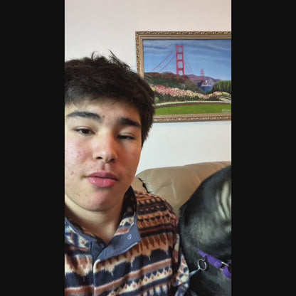 Dog Puzzle Feeder Toy